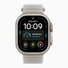Apple Ocean Band 49mm Natural Titanium Finish для Apple Watch - Translucent Gray (Серый)