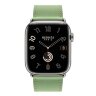 Apple Watch Hermes Series 10 46mm,  ремешок классический кожаный зеленого цвета