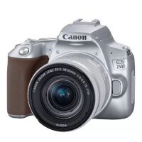 Canon EOS 250D Camera, Silver + EF-S 18-55mm f/4-5.6 IS STM Lens Kit