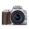 Canon EOS 250D Camera, Silver + EF-S 18-55mm f/4-5.6 IS STM Lens Kit
