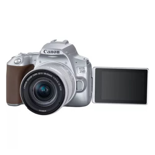 Canon EOS 250D Camera, Silver + EF-S 18-55mm f/4-5.6 IS STM Lens Kit