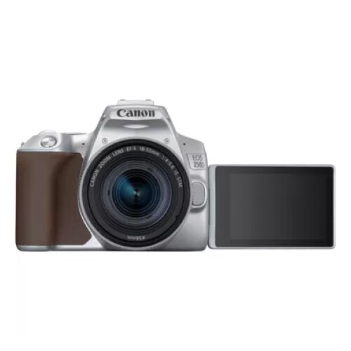 Canon EOS 250D Camera, Silver + EF-S 18-55mm f/4-5.6 IS STM Lens Kit