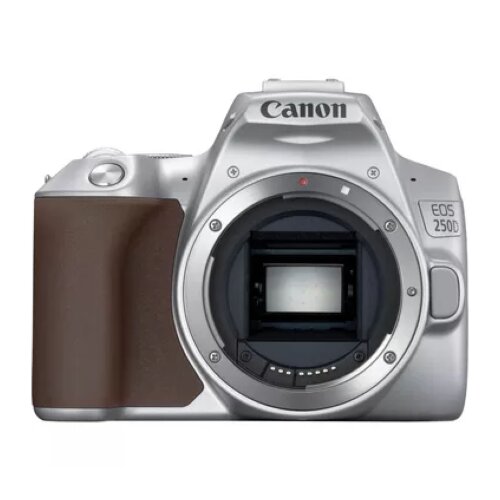 Canon EOS 250D Camera, Silver + EF-S 18-55mm f/4-5.6 IS STM Lens Kit