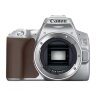 Canon EOS 250D Camera, Silver + EF-S 18-55mm f/4-5.6 IS STM Lens Kit