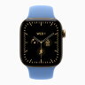 Apple Watch Series 12 42mm, Radiant Gold Titanium Case with Sport Band - Wildflower Blue