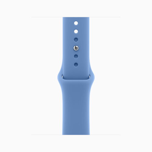 Apple Watch Series 12 42mm, Radiant Gold Titanium Case with Sport Band - Wildflower Blue