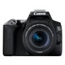 Canon EOS 250D, Black + EF-S 18-55mm f/4-5.6 IS STM + EF 50mm f/1.8 STM Lens Kit