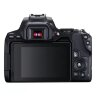 Canon EOS 250D, Black + EF-S 18-55mm f/4-5.6 IS STM + EF 50mm f/1.8 STM Lens Kit