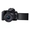 Canon EOS 250D, Black + EF-S 18-55mm f/4-5.6 IS STM + EF 50mm f/1.8 STM Lens Kit