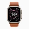Apple Watch Ultra 3 49mm Titanium Case with Terra Cotta Alpine Loop (S)