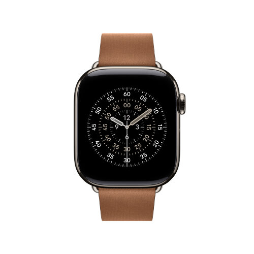 Браслет для Apple Watch 42mm Modern Buckle (L) - Серый (Sage Gray)