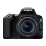 Canon EOS 250D Camera, Black + EF-S 18-55mm f/4-5.6 IS STM Lens Kit
