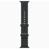 Apple Watch Ultra 2 49mm Titanium Case with Black Ocean Band