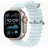 Apple Watch Ultra 2 49mm Titanium Case with Ice Blue Ocean Band