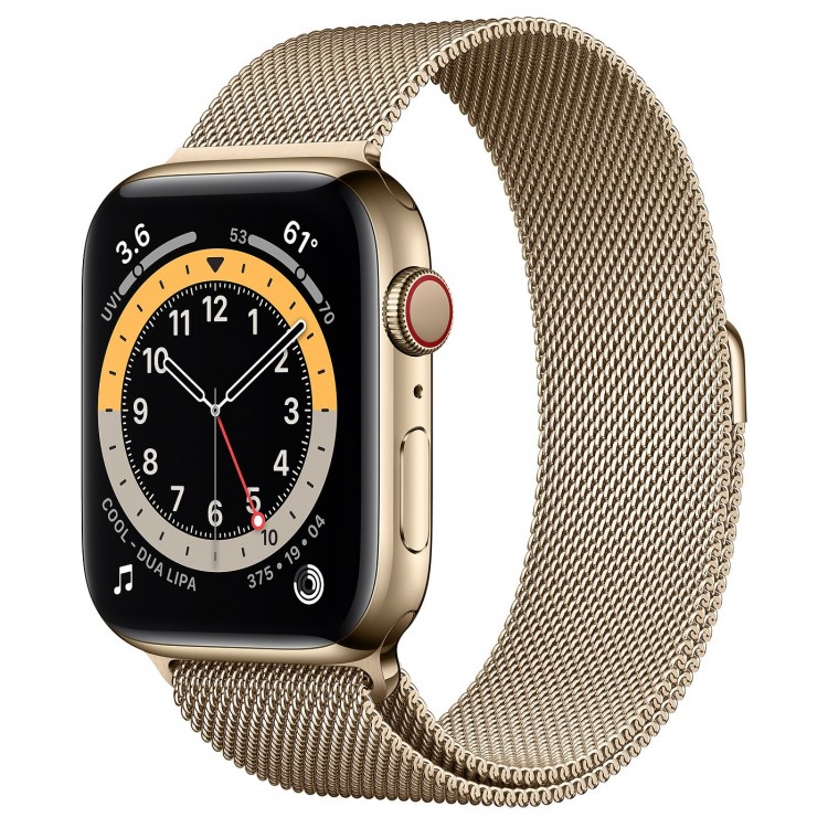 Apple Watch 6 Gold Stainless Steel 44mm