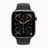 Apple Watch Series 11 46mm, Gold Titanium Case with Sport Band - Black