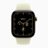 Apple Watch Series 12 42mm, Radiant Gold Titanium Case with Sport Band - Pale Succulent