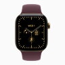 Apple Watch Series 12 46mm, Radiant Gold Titanium Case with Sport Band - Burgundy
