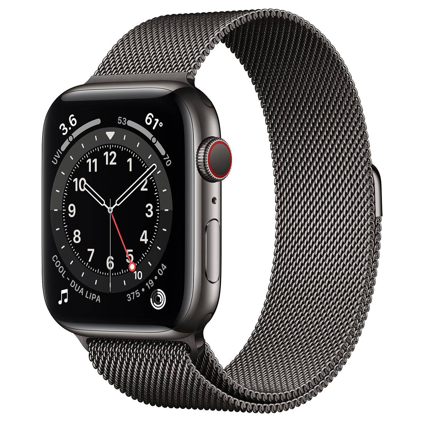 Apple Watch 6 Graphite Stainless Steel 44mm