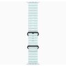 Apple Watch Ultra 2 49mm Black Titanium Case with Ice Blue Ocean Band