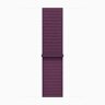 Apple Watch Series 10 46mm, Natural Titanium Case with Sport Loop - Plum