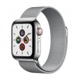 Apple Watch series 5, 40 мм Cellular + GPS, нержавеющая сталь, миланский сетчатый браслет