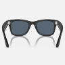 Ray-Ban Meta Wayfarer (Матовая черная оправа, линзы пыльно-голубые, Polarized) L