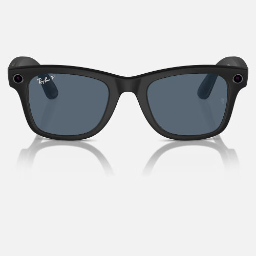 Ray-Ban Meta Wayfarer (Матовая черная оправа, линзы пыльно-голубые, Polarized) L
