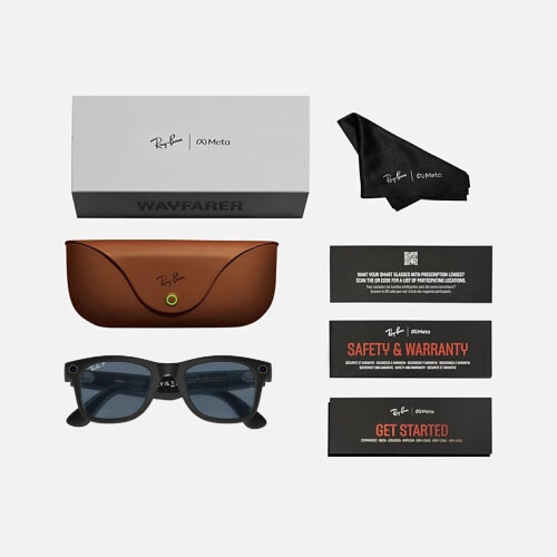 Ray-Ban Meta Wayfarer (Матовая черная оправа, линзы пыльно-голубые, Polarized) L