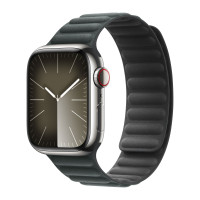 Apple Watch Series 9 45mm Silver Stainless Steel Case with Magnetic Link - Evergreen