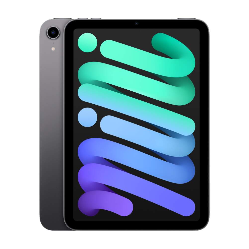 【オンライン限定商品】 Москве. в cellular + wifi gray space 64gb 6 mini iPad Apple Купить Цена, отзывы.  iPad本体