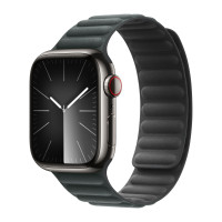 Apple Watch Series 9 45mm Graphite Stainless Steel Case with Magnetic Link - Evergreen