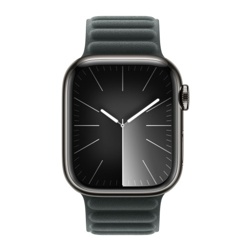 Apple Watch Series 9 45mm Graphite Stainless Steel Case with Magnetic Link - Evergreen