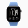 Apple Watch Series 12 46mm, Space Gray Aluminum Case with Sport Band - Wildflower Blue