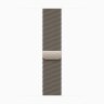 Apple Watch Series 10 46mm, Natural Titanium, Natural Milanese Loop