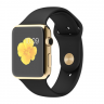 Apple Watch Edition 42mm 18-каратное желтое золото / Черный спортивный ремешок