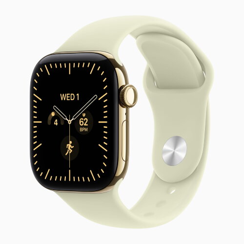 Apple Watch Series 12 46mm, Radiant Gold Titanium Case with Sport Band - Pale Succulent