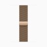 Apple Watch Series 11 42mm, Gold Titanium, Gold Milanese Loop