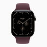 Apple Watch Series 12 42mm, Natural Titanium Case with Sport Band - Burgundy