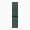 Apple Watch Series 10 42mm, Gold Titanium Case with Sport Loop - Lake Green