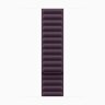 Apple Watch Series 10 46mm, Slate Titanium Case with Magnetic Link - Blackberry