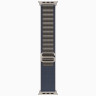 Apple Watch Ultra 2 49mm Titanium Case with Blue Alpine Loop (M)