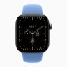 Apple Watch Series 12 42mm, Natural Titanium Case with Sport Band - Wildflower Blue