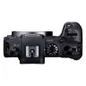 Canon EOS RP Camera + RF 24-105mm F4-7.1 IS STM Lens