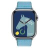 Apple Watch Hermes Series 9 41mm , ремешок из плетеного нейлона голубого цвета