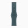 Apple Watch Series 10 42mm, Jet Black Aluminum Case with Sport Band - Lake Green