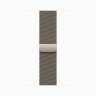 Apple Watch Series 11 46mm, Natural Titanium, Natural Milanese Loop