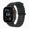 Apple Watch Ultra 3 49mm Black Titanium Case with Black Ocean Band