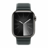 Apple Watch Series 9 41mm Graphite Stainless Steel Case with Magnetic Link - Evergreen