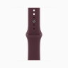 Apple Watch Series 12 46mm, Natural Titanium Case with Sport Band - Burgundy